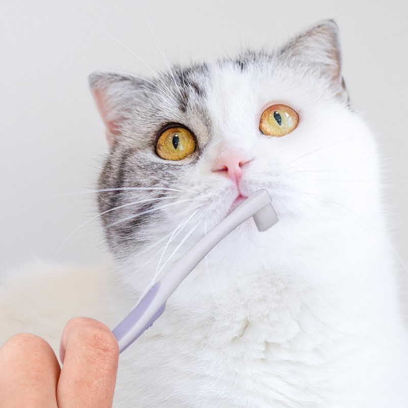 Dog Toothbrush Dog Teeth Clean - đánh giá và giá Teeth Whitening Brush