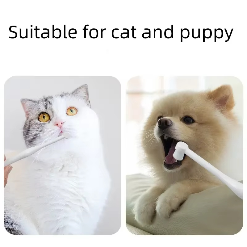 Round Head Pet Toothbrush Remo - đánh giá và giá Teeth Whitening Brush