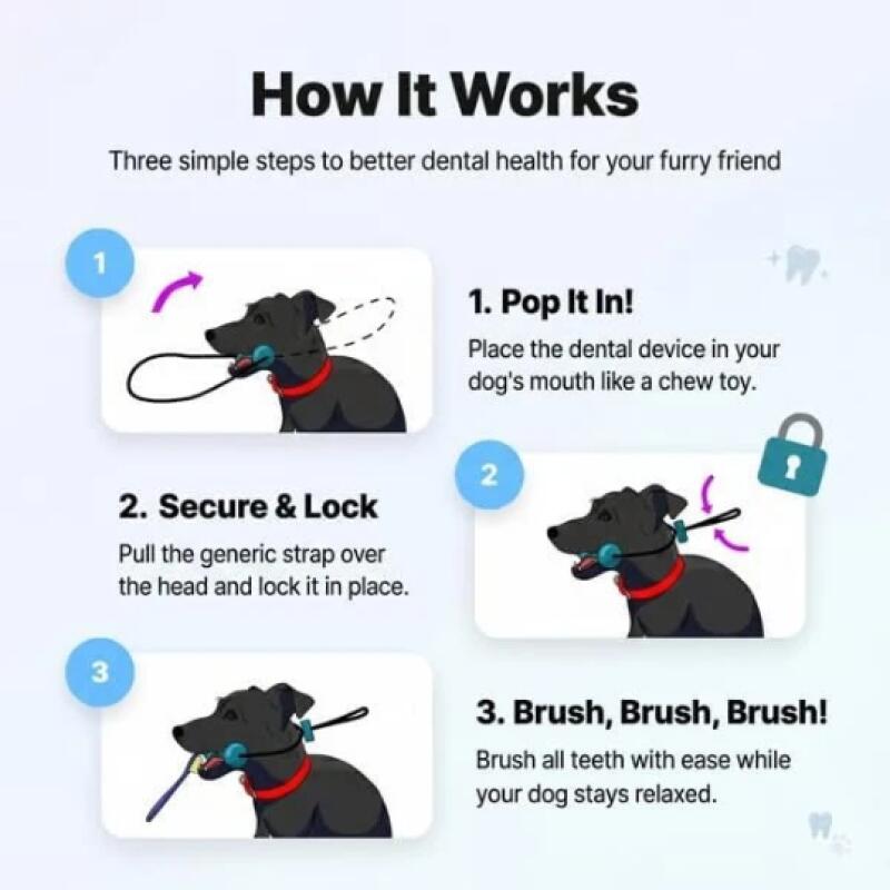 Dual Function Pet Dental Chew  - đánh giá và giá Teeth Whitening Brush