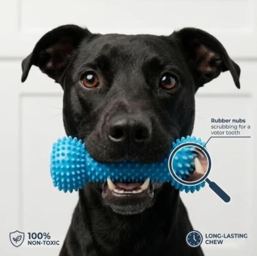 Dual Function Pet Dental Chew  - đánh giá và giá Teeth Whitening Brush