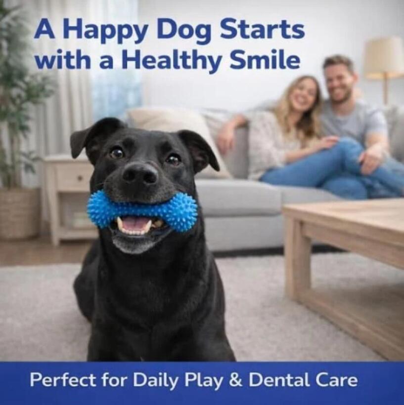 Dual Function Pet Dental Chew  - đánh giá và giá Teeth Whitening Brush