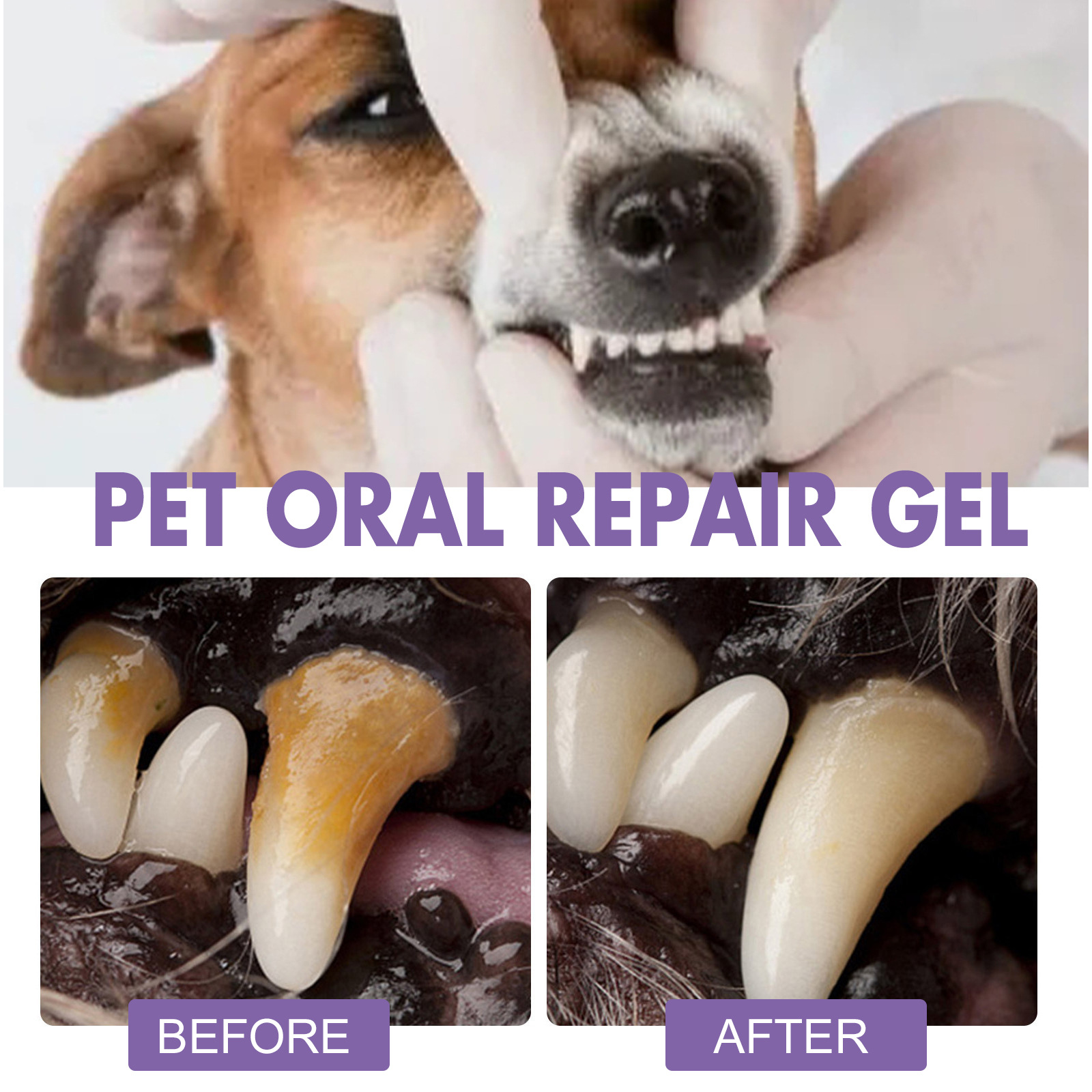Pet Oral Repair Gel Puppy Tart - đánh giá và giá Teeth Whitening Gel Peroxide